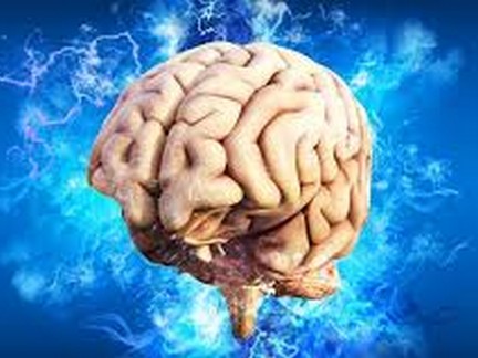 AA – Cerveaux actifs pour les ainés     – ANNULÉ –