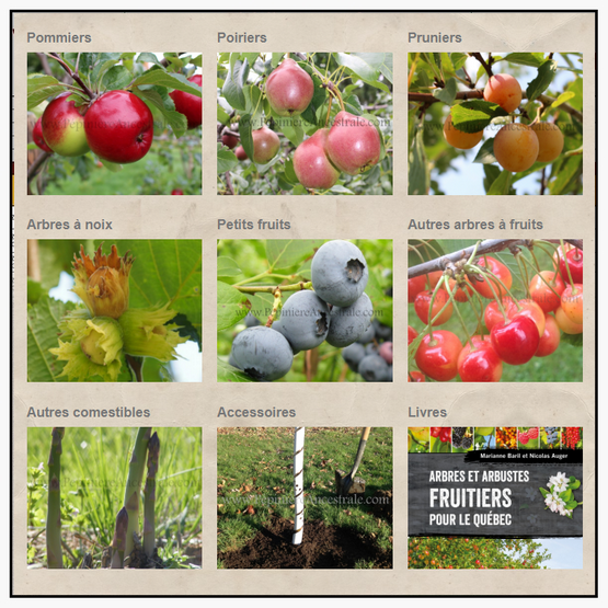 AA – Arbres fruitiers et jardins ornomentaux comestibles